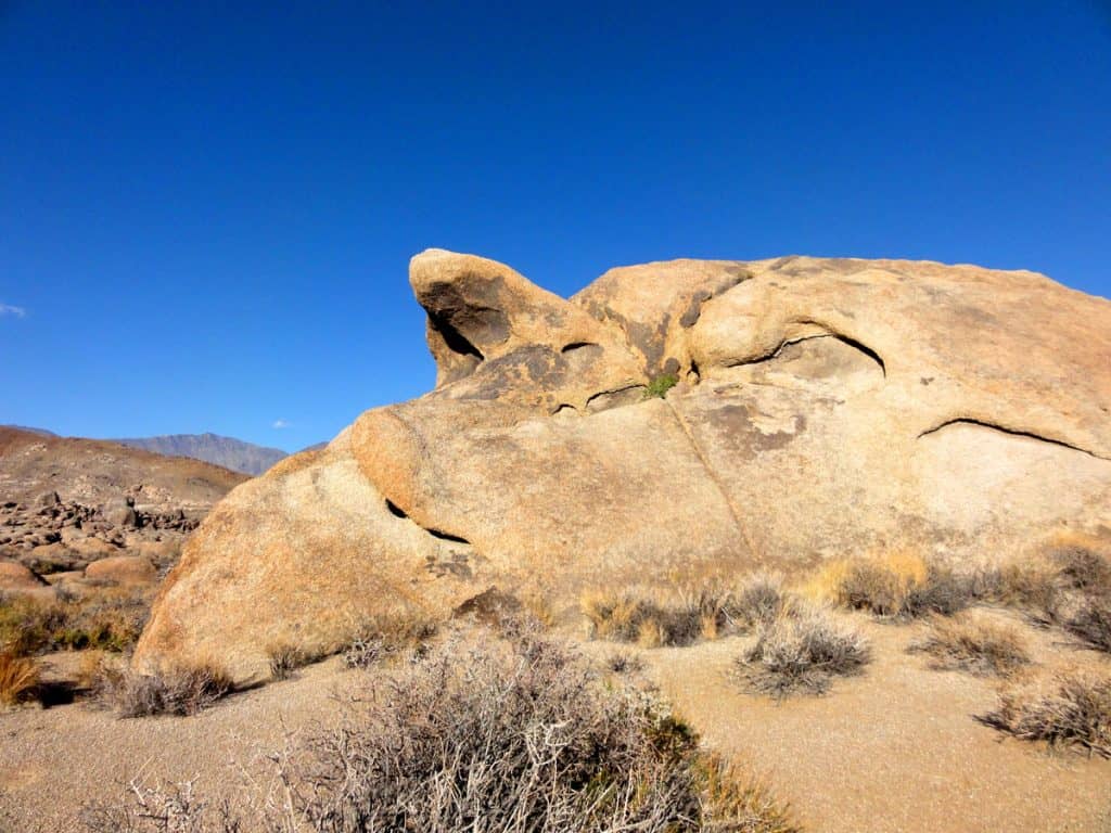 Erosion has created some fantastic shapes in the granite, such as this face