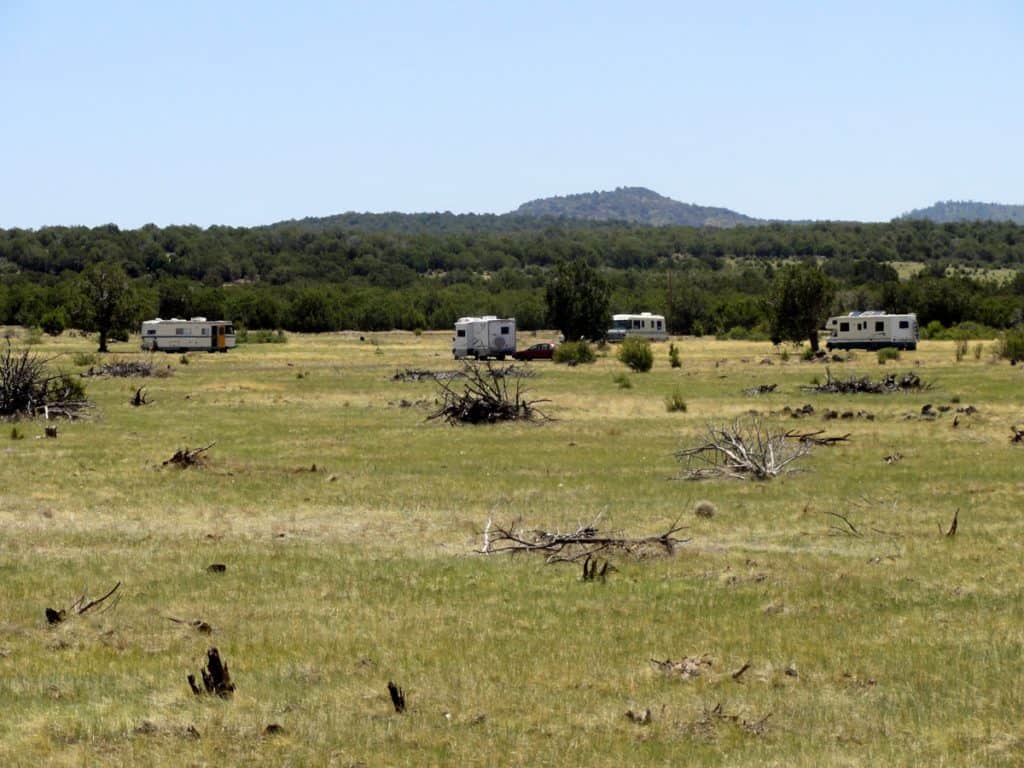 RVs camped at green forest meadow with forest trees beyond