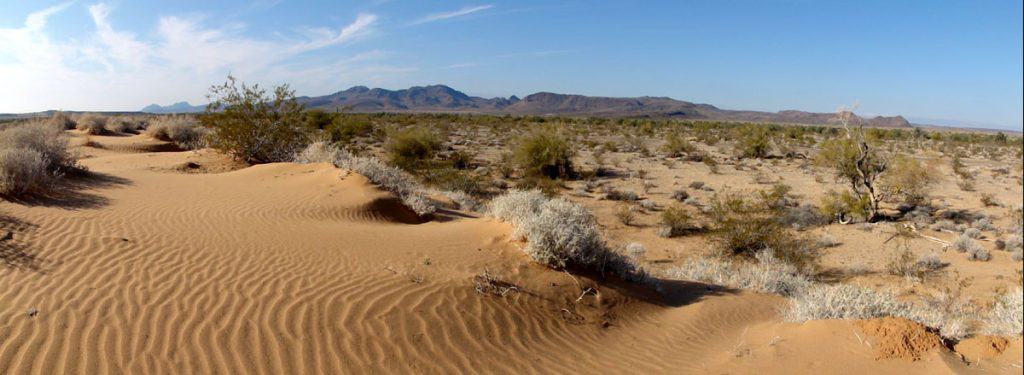 Sand dunes with mountains beyond