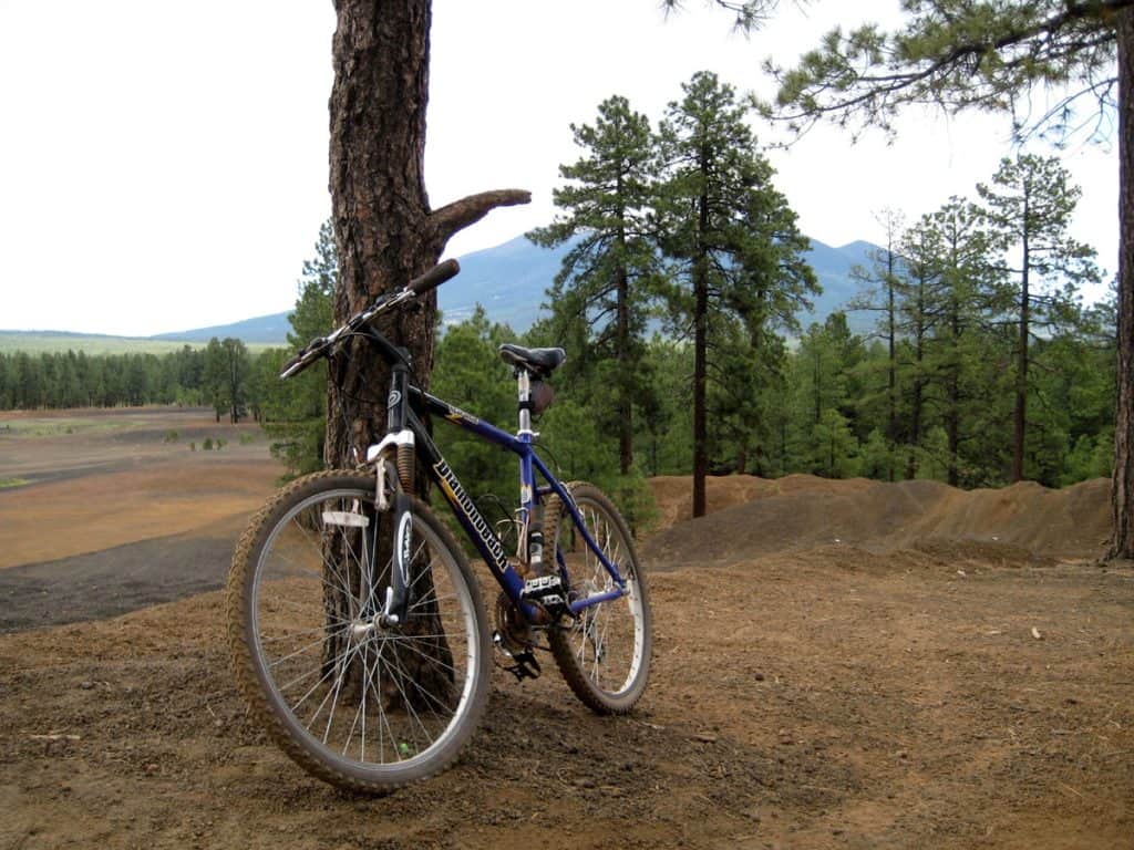 The Cinder Pit OHV Area northeast of Wing Mountain