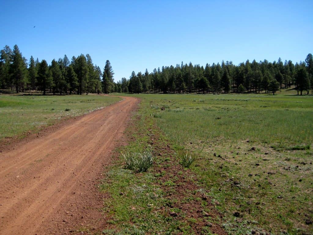 National Forest Road 236 which leads to Coulter Park, Coulter Hill, and Coulter Cabin