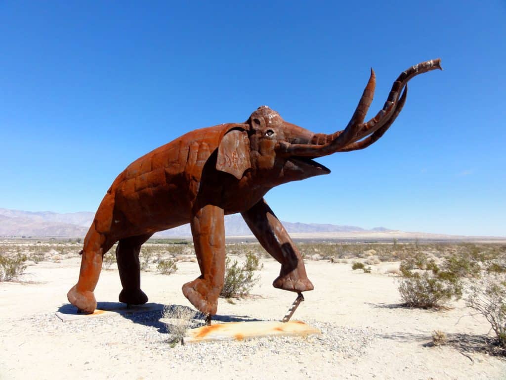 Columbian Mammoth at Galleta Meadows