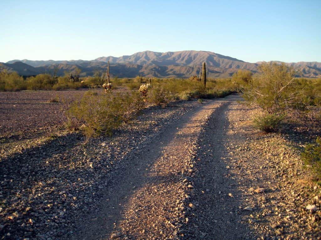Primitive road through desert with Harquahala Mountains on horizon