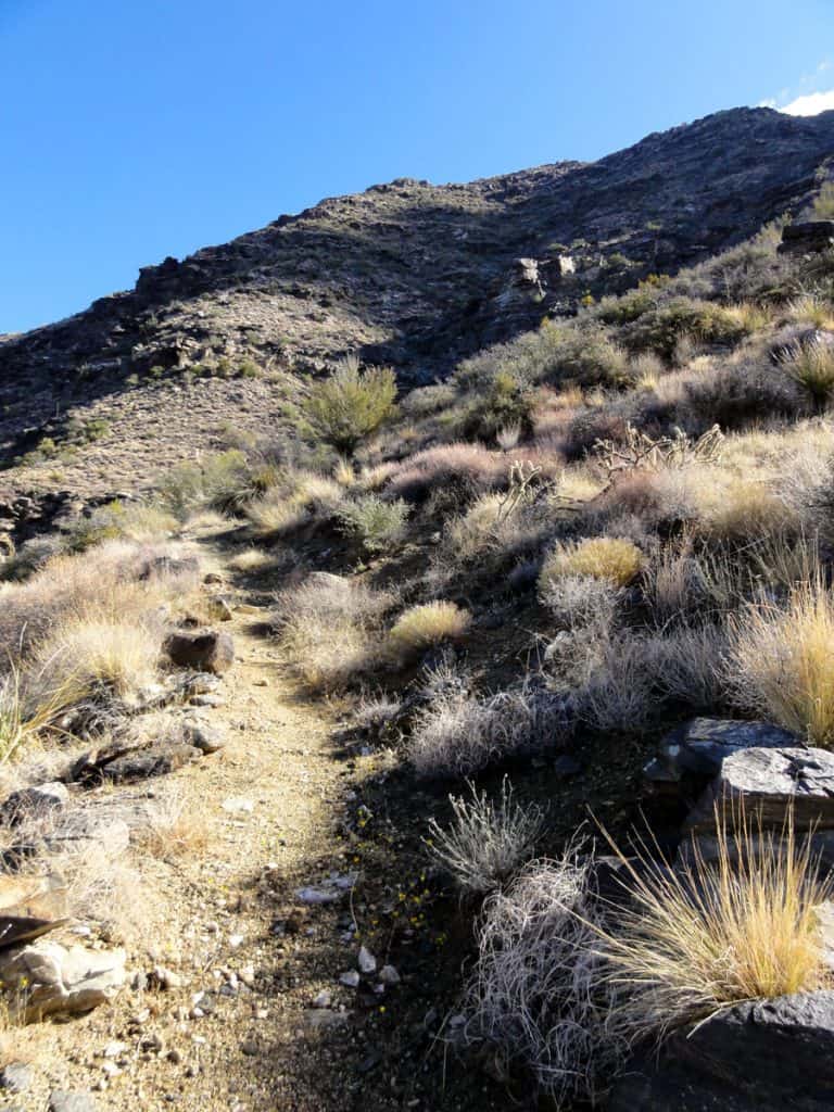 Single track trail up mountainside