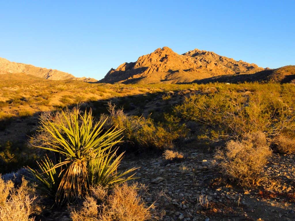 Newberry Mountains, Nevada