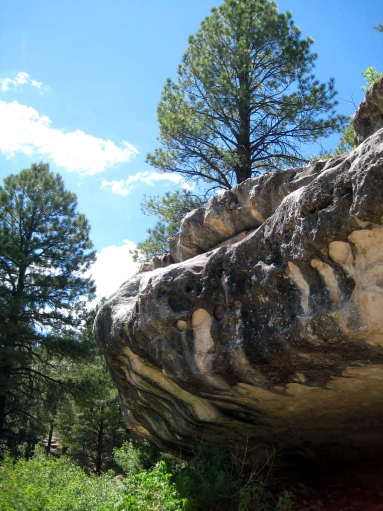 Pine tree growing above interesting hanging rock cliff