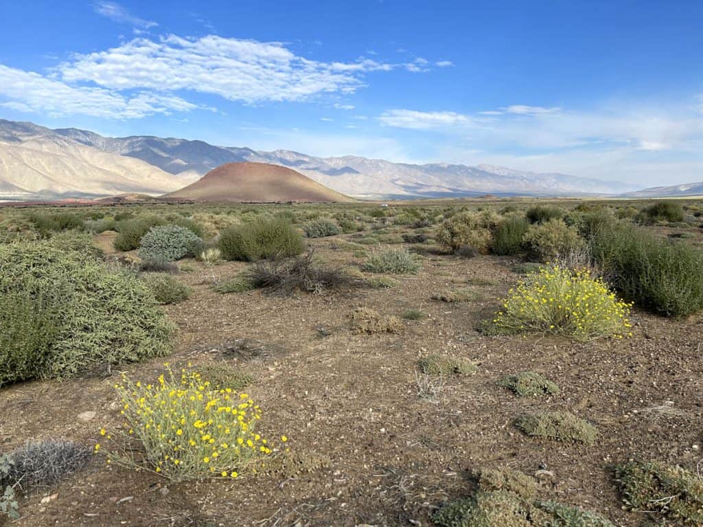 Rose Valley, Eastern Sierra