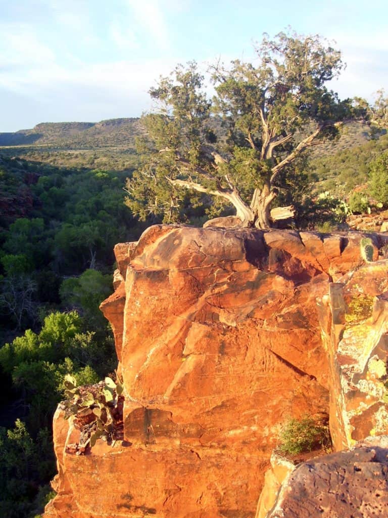 Red Tank Draw canyon walls