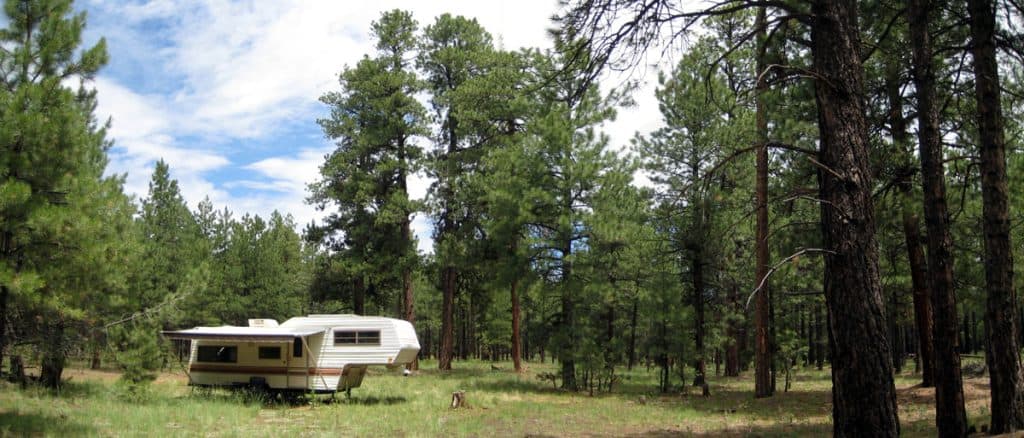 RV camping west of San Francisco Mountain in the Coconino National Forest