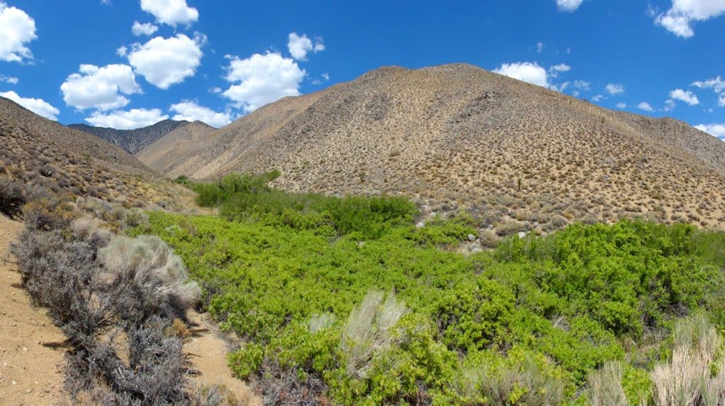 Sacatar Trail Wilderness