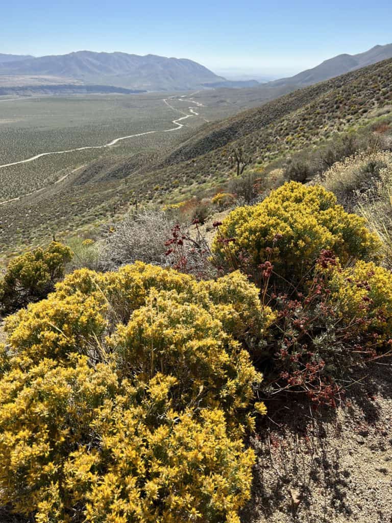 Sacatar Trail Wilderness