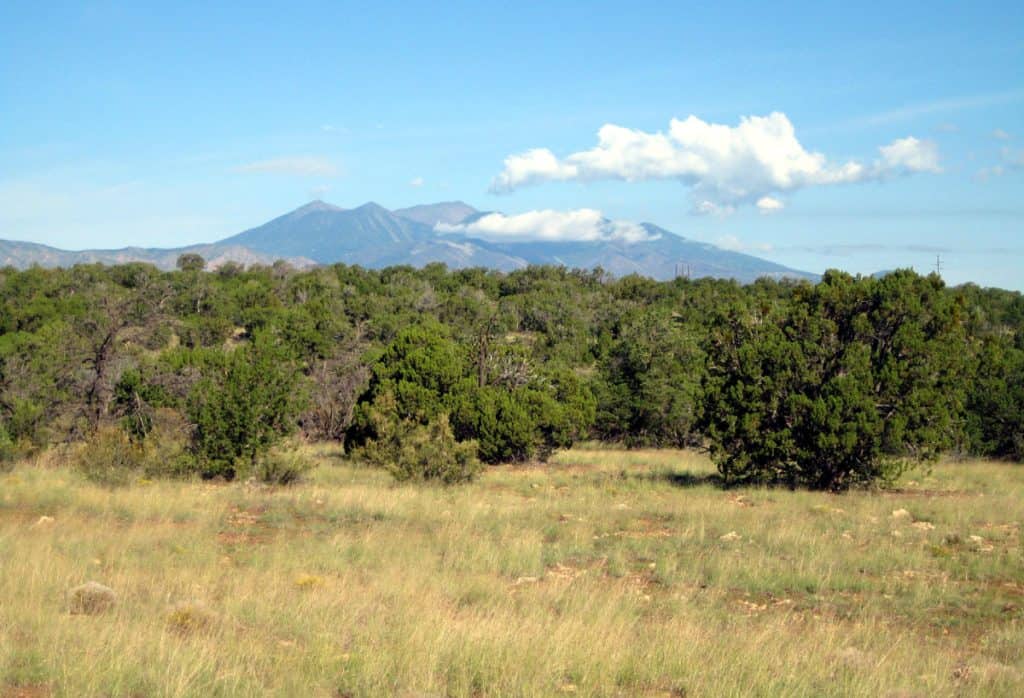 San Francisco Mountain from my campsite east of the monument
