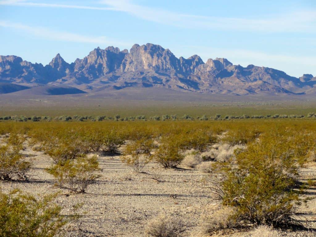 Turtle Mountains, California