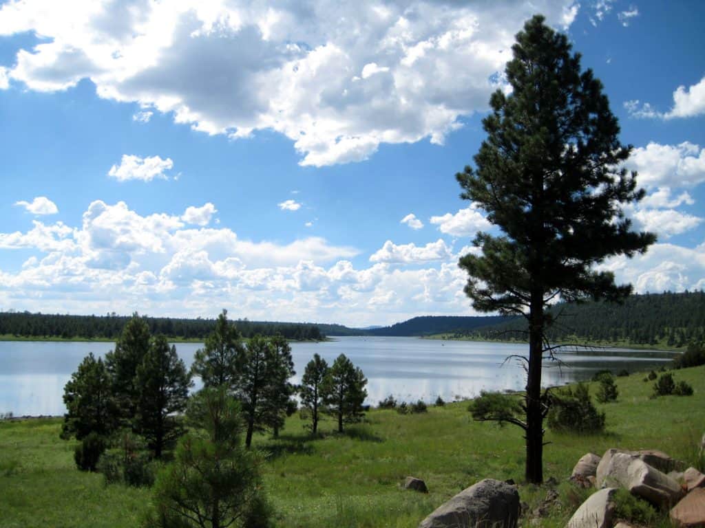 Lake in the national forest with green grass and a few pine trees in foreground