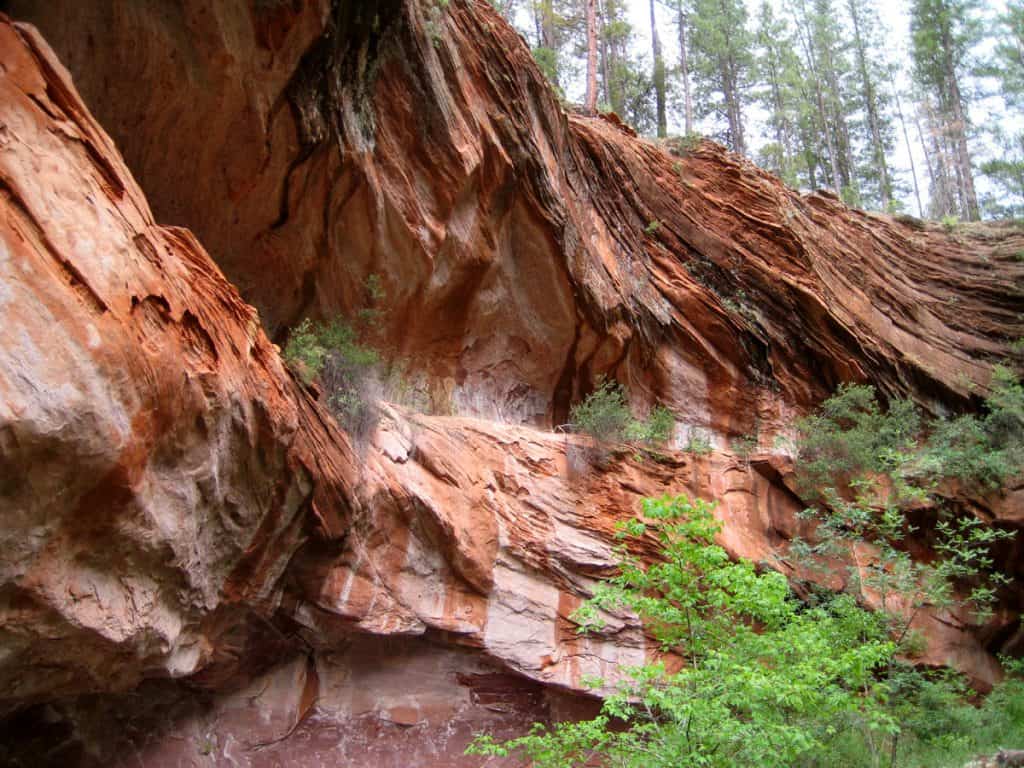 Stunning red stone in West Fork Oak Creek Canyon