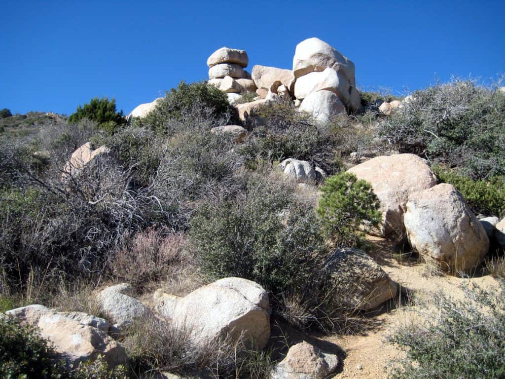 White granite among the Black Hills