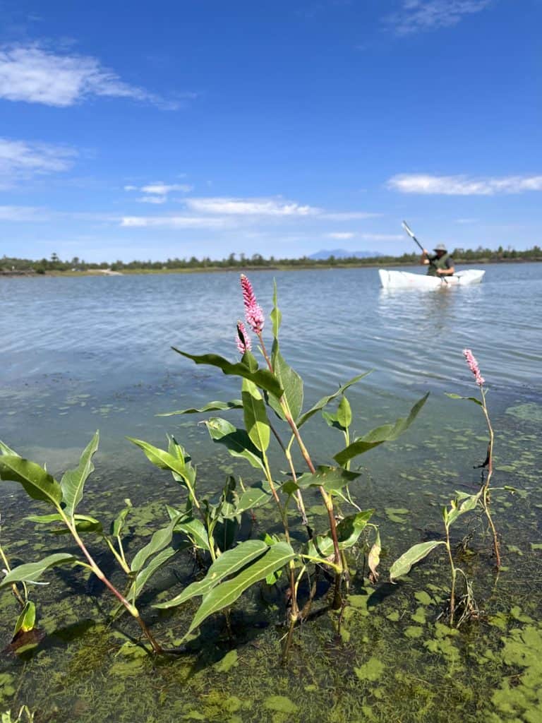 Kayaking at Ashurst Lake, Arizona
