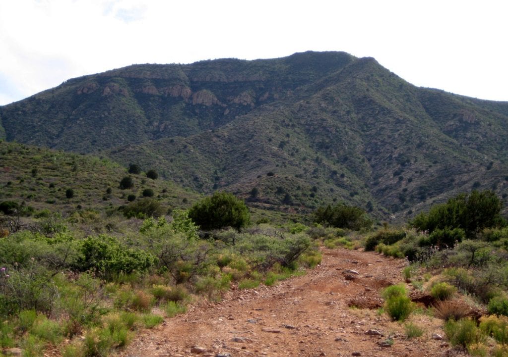A rocky road in the Black Hills, Arizona