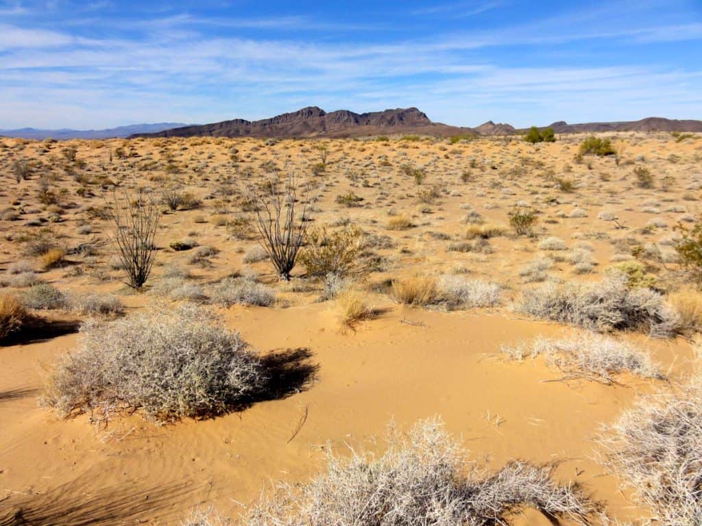 Cactus Plain and Gibraltar Mountain