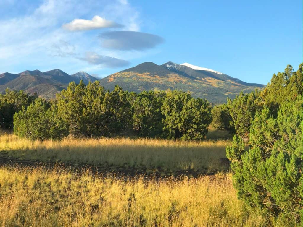 Fall colors on San Francisco Mountain